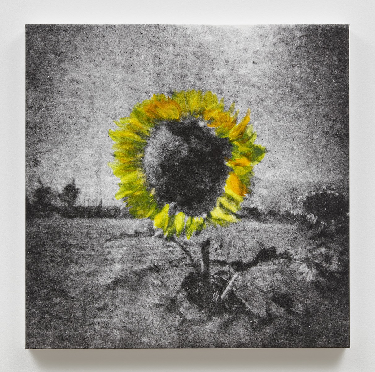 <i>Rest</i>, 2024. Acrylic on photography-printed canvas, 31 1/4 x 31 1/2 in (79.4 x 80 cm)